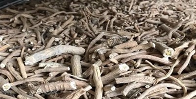 剖析干燥設(shè)備怎么選型？